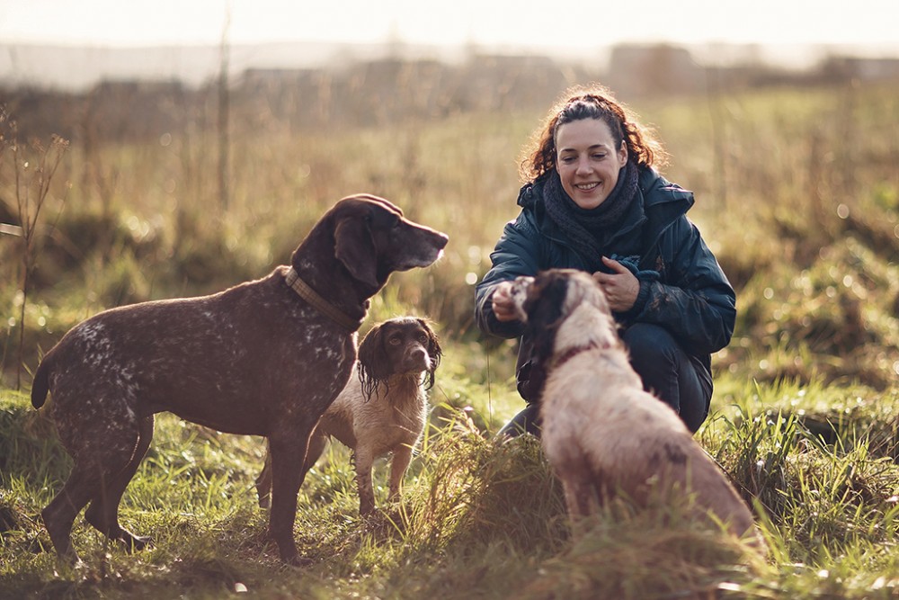 Mid Devon Dogs and Small Animal Care Services